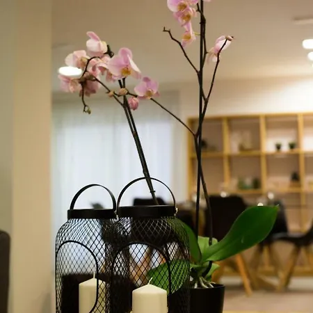 Architecture & Loft Apartment Alicante